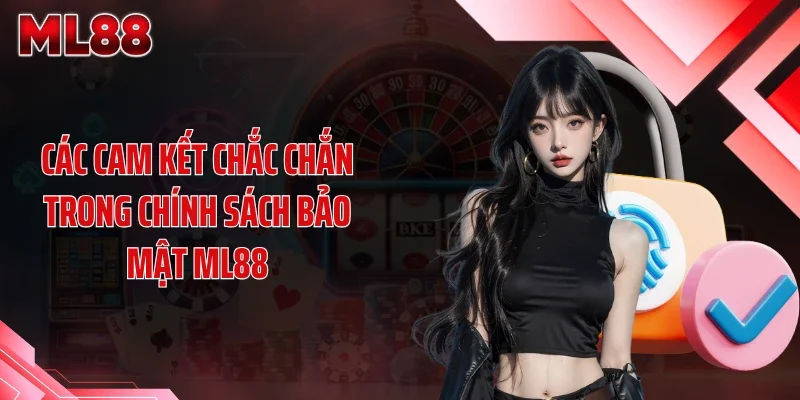 Các cam kết chắc chắn trong chính sách bảo mật ML88